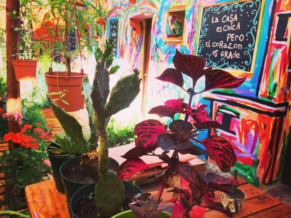 La Puerta Verde Hostel & Bar Humahuaca Exteriér fotografie